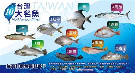 魚的排名|書摘精選》台灣好魚排行榜